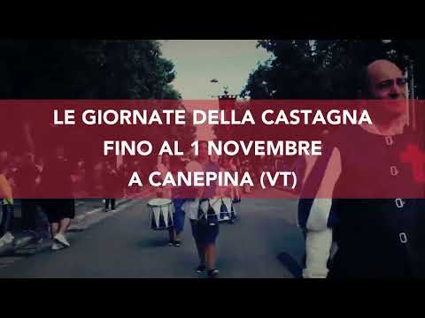 Video: Novembre a Roma: Eventi e Sagre