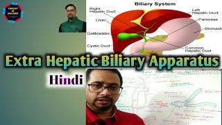 Extra hepatic biliary apparatus|Gall Bladder|Liver|Bile duct|Hepatic Duct|