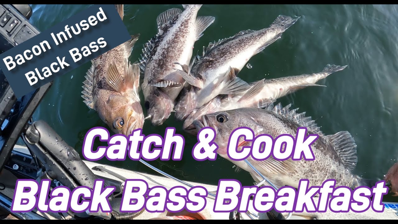 Ocean Kayak Fishing Catch & Cook Oregon's Black Rockfish for Breakfast