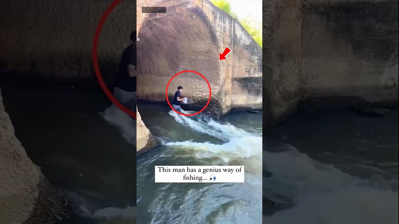 Smart Trick to catch fish without a fishing rod 🤯 