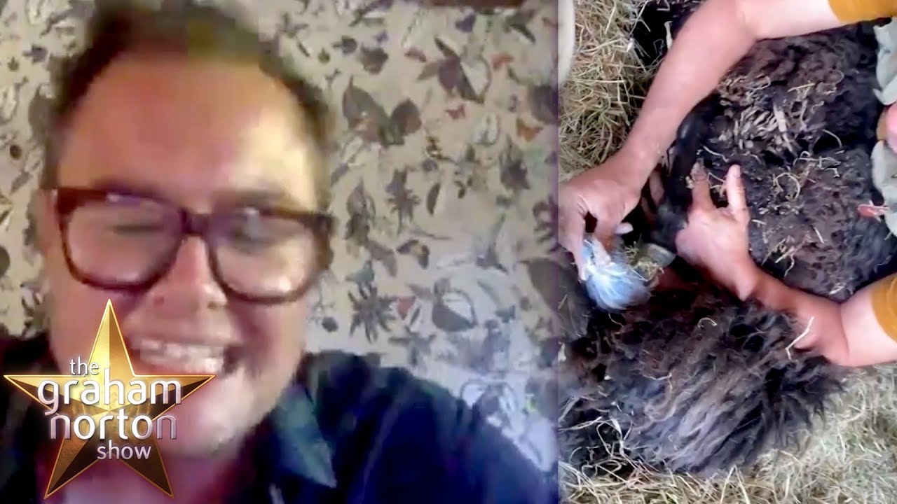 Why Alan Carr Had To Massage A Lamb! | The Graham Norton Show
