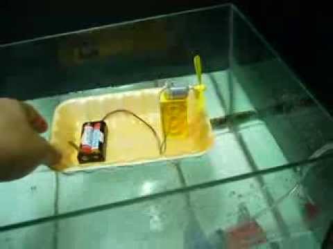 自己動手做沼澤探險船科學模型diy Model Swamp Boat Adion蝦蝦科學教室 Youtube
