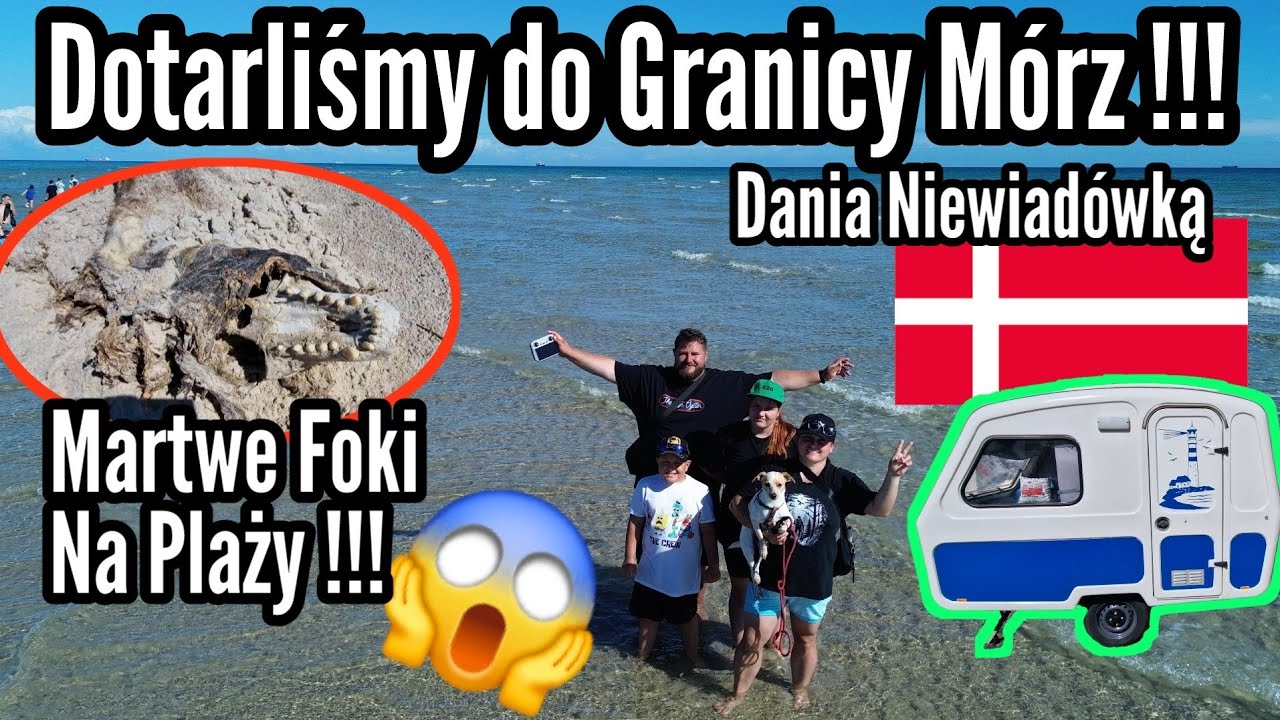 #238 Martwe Foki na Plaży !!! Dotarliśmy do granicy Dwóch Mórz !!! Niewiadówka w Danii !!!