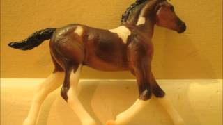 Results Up Entry Breyer Photo Show - Stopthe Mustangroundups