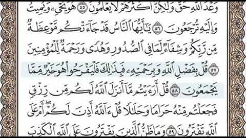 سورة يونس الصفحة 215 الشيخ محمد صديق المنشاوي
