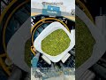 全自動で高速密封！インテリジェント角型ベーラー＆ラッピング一体機の稼働現場 #worker #process #agriculture #baler #silage