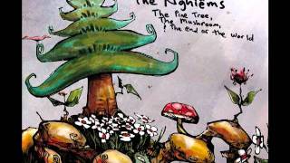 The Nghiems - Everything In Between