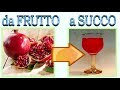 succo di melagrana, senza centrifuga o estrattore, pomegranate juice, zumo de granada