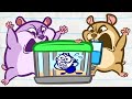 Pencilmate's Hamster Havoc! | Animated Cartoons Characters | Animated Short Films | Pencilmation