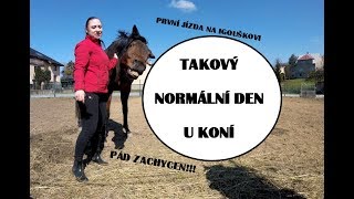 Takový normální den u koní / pád z koně zachycen!