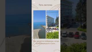 Как меняется берег | Ласточка до Сочи 🚄 #путешествие #черноеморе #shorts