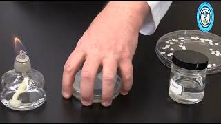 🔴 Antibiotic Sensitivity Testing by Kirby Bauer Method: