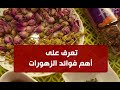 تعرف على زهورات الشتاء