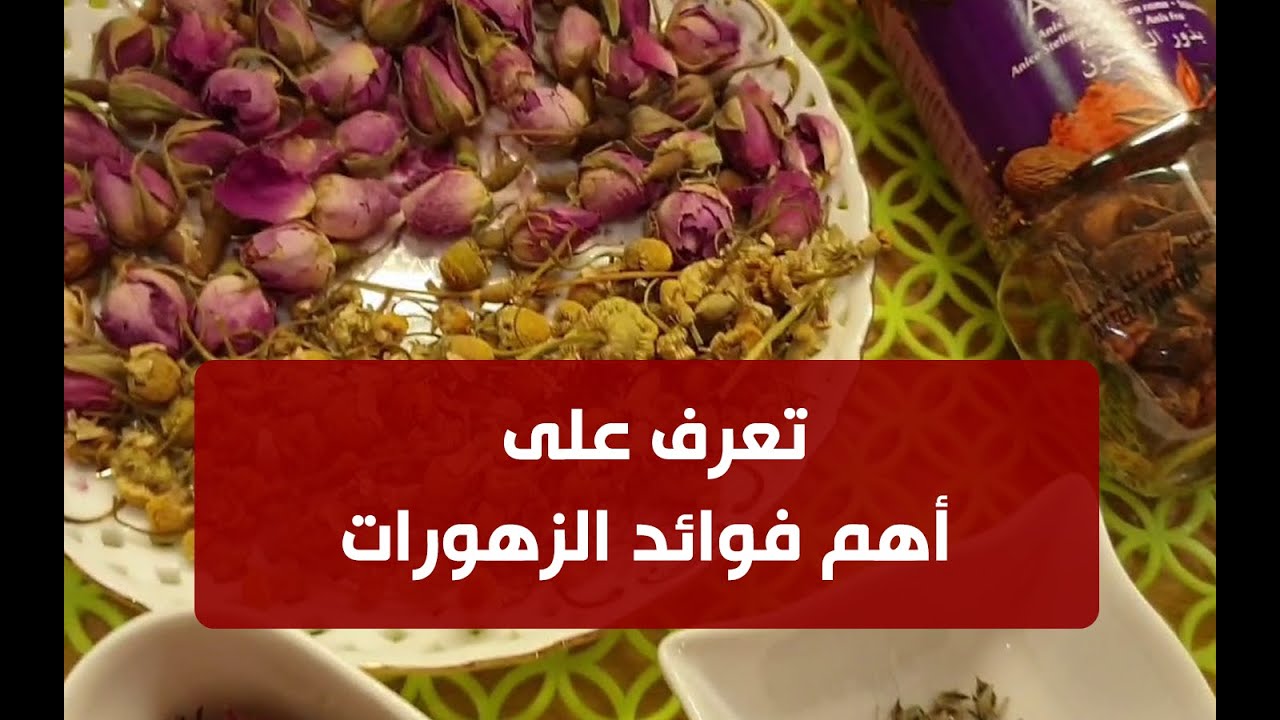 تعرف على زهورات الشتاء Youtube