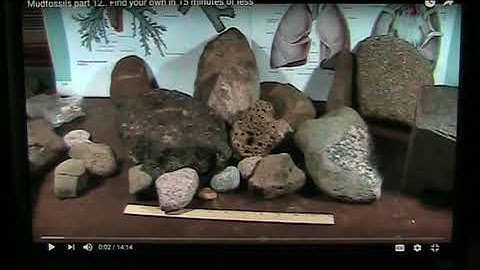 Intro to mudfossils