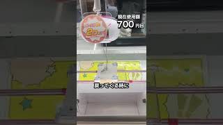クレーンゲームの景品だけで生活131日目 #clawmachine #クレーンゲーム #ゲームセンター #ufoキャッチャー #ゲーセン #フック設定