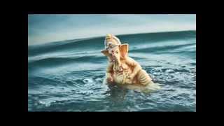Happy Ganesh Chaturthi 2014 Wallpapers, Photos, Greetings, Images