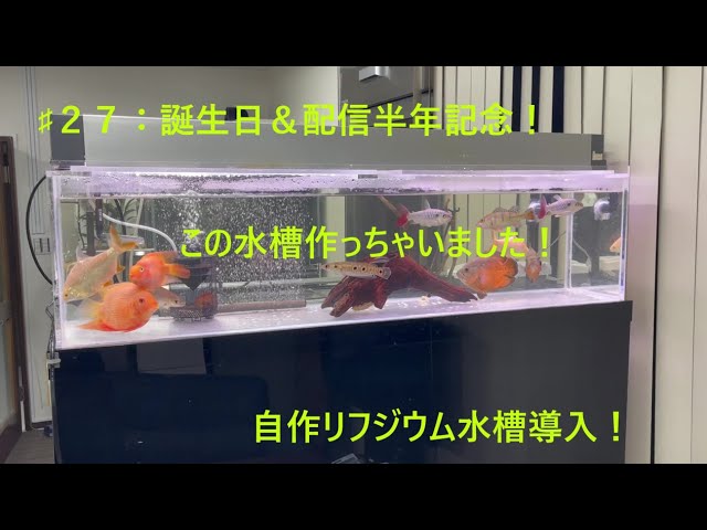 27：誕生日＆配信半年記念！自作リフジウム水槽設置！ - YouTube