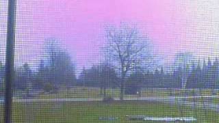 Front Flip Sampler