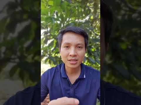 Video Sai lầm về CANXI gây SỎI THẬN #shorts - youtube