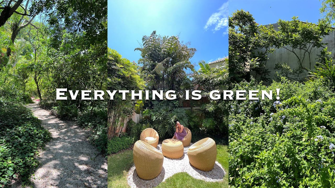 Christmas in the Summer in Rio de Janeiro, Brazil