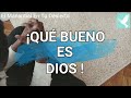 ¡ Que bueno es Dios !