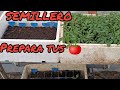 Prepara tu semillero paso a paso/ tomate 🍅