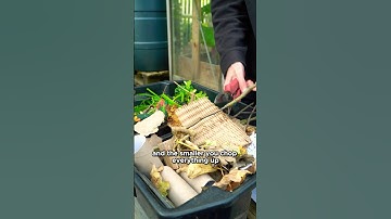 How to Make Compost (60 Second Guide)