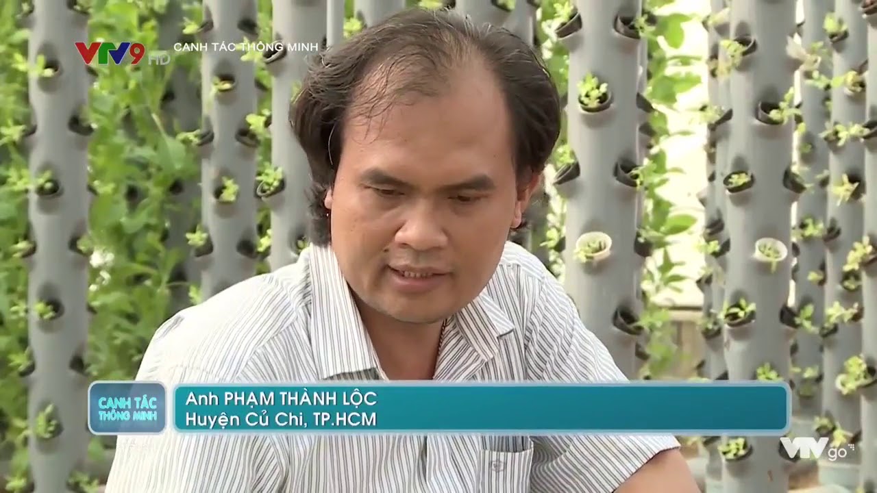 CANH TÁC THÔNG MINH SỐ 67  TRỒNG RAU BẰNG CÔNG NGHỆ KHÍ CANH SỨC SỐNG TRẺ SẢN XUẤT