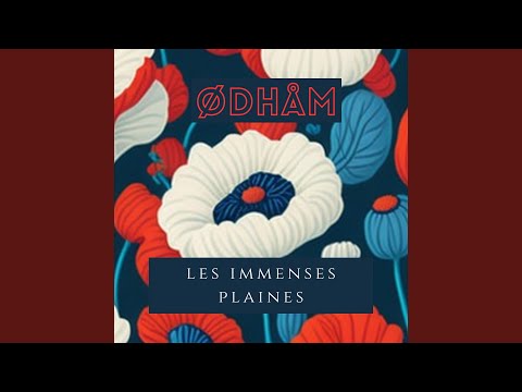 Les immenses plaines
