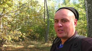 Сглазил сам себя! А может это ...? Глухие места природы!