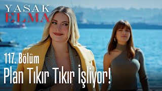 Plan tıkır tıkır işliyor! - Yasak Elma 117. Bölüm