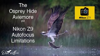 The Osprey Hide, Nikon Z9 AutoFocusing + BONUS FOOTAGE