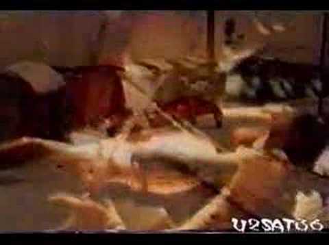 Passengers — Miss Sarajevo - Passenger Project - U2