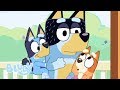 Backpacking with Bluey | Backpackers | Bluey