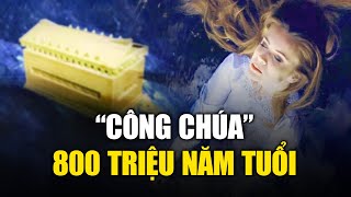 Xác ướp “công chúa” 800 triệu năm tuổi, xinh đẹp hệt như đang ngủ | Tinh Hoa TV