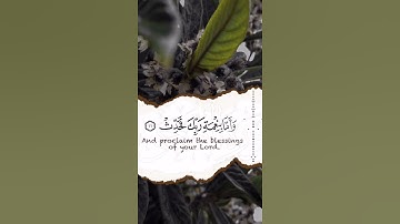 ماتيسر من سورة الضحى | القرآن الكريم القارئ ماهر المعيقلي 🖤🌱