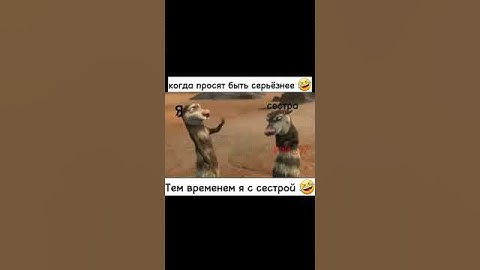 #жиза #смех #shortvideo #подпишись Когда просят быть серьёзнее 🤣ставь лайк. ПОДПИШИСЬ ПОЖАЛУЙСТА 🌹🕊️