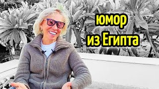 :     funny stories from Egypt # #