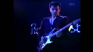Watch Fabulous Thunderbirds Fulltime Lover video