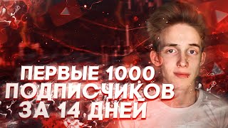 Как набрать первую 1000 подписчиков на YouTube за 14 дней и раскрутить канал с нуля