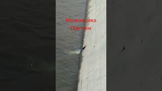 Москва Река, Притоки. Москва Значит Мокрая