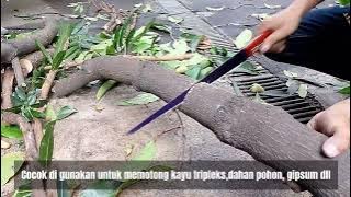 DEMO GERGAJI KAYU LANCIP TJAP MATA #gergaji#tjapmata  #potongkayu #pilihanparaahli