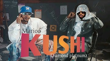 Marioo, Diamond platnumz ft  Focalistic  Maradona & S2kizzy - KUSHI ( Official music video)