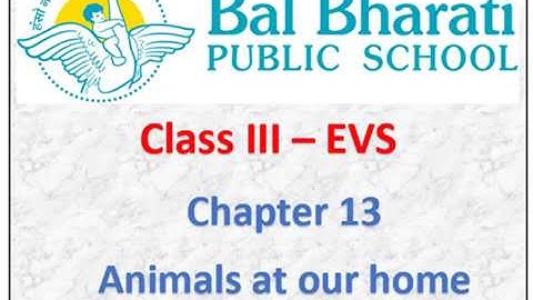 III EVS Chapter 13 Animals at our home Part 1