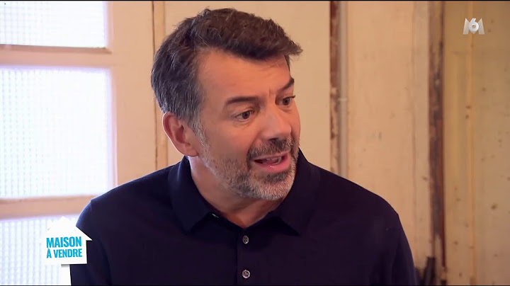 Stéphane Plaza, Maison à vendre - mercredi 29 janvier 2020 - Célyne / Pascal et Aurélie