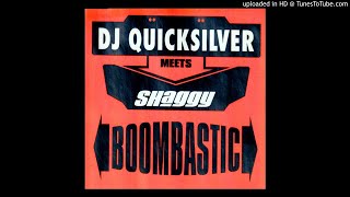 DJ Quicksilver Meets Shaggy - Boombastic (Epic Radio Edit)