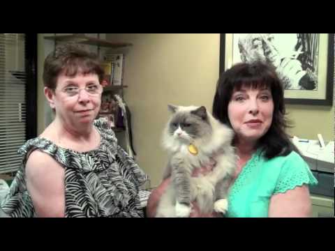 Video: Ontmoet Matilda: Queen Cat Van Die Algonquin Hotel