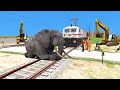 Trains Vs Giant Elephant - Stops the Train | Train Simulator| Indian Railroad