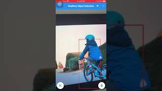 Flutter App realtime object detection with Tensorflow Lite